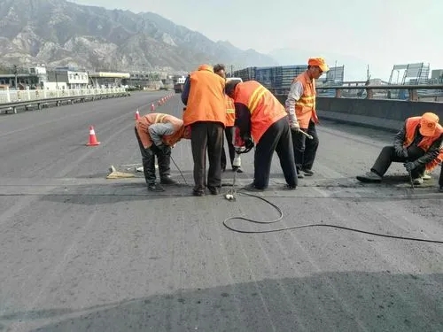 沙田镇道路桥梁病害治理